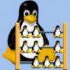 Avatary - thumb_Linux_logo.jpg