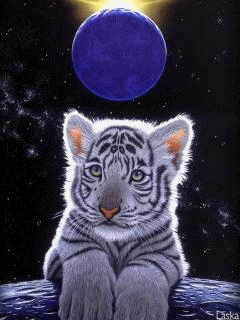 kotki - mowiacy tygrys.aspx