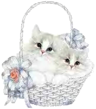 GIFY KOTKI - koty biale w koszyku124.gif