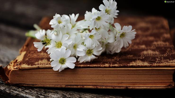  W zestawieniu - białe kwiaty-książka.jpeg