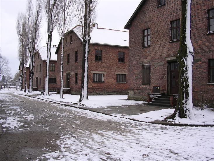Auschwitz - Birkenau - 08 et 09.02.2004 - 065 - Auschwitz-Birkenau.jpg