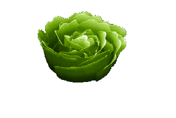 Kwiatki  gif  kalejdoskop - ChomikImage 3.jpg